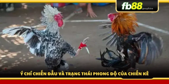 Tinh thần thi đấu và phong độ
