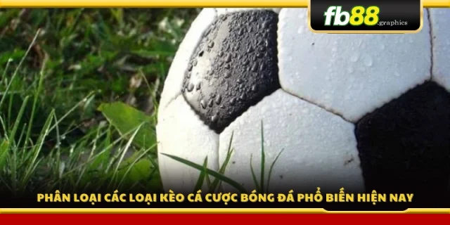 Phân chia các dạng kèo bóng đá thông dụng