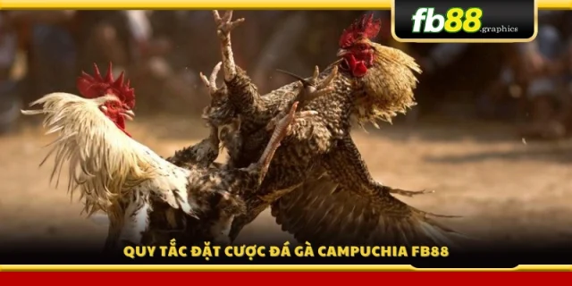 Các quy định khi đặt cược đá gà Campuchia tại FB88 