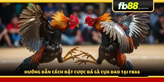 Cách tham gia và đặt cược đá gà cựa dao tại FB88