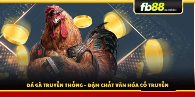 Đá gà truyền thống – Nét đẹp văn hóa lâu đời