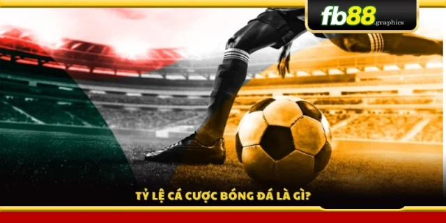 Tìm hiểu khái niệm tỷ lệ cược bóng đá