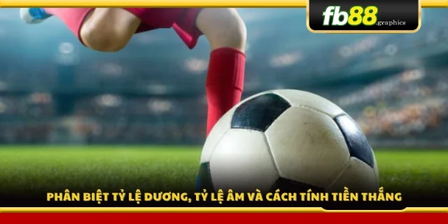 Hướng dẫn cách đọc tỷ lệ âm – dương